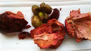 フェイジョア・マンゴスチン・シークワーサーのレビュー