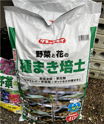 種からの育て方(種まき、育苗、水やり、間引き、鉢上げなど)